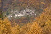 20101104_131809 Savogno tra i boschi autunnali.jpg